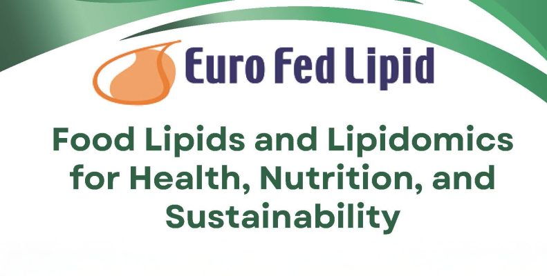 food-lipids-lipidomics